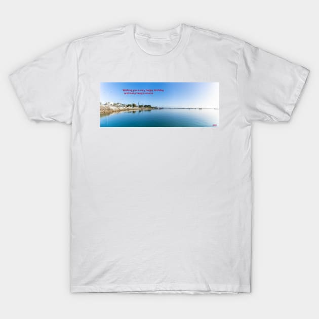 Birthday greeting card T-Shirt by brians101